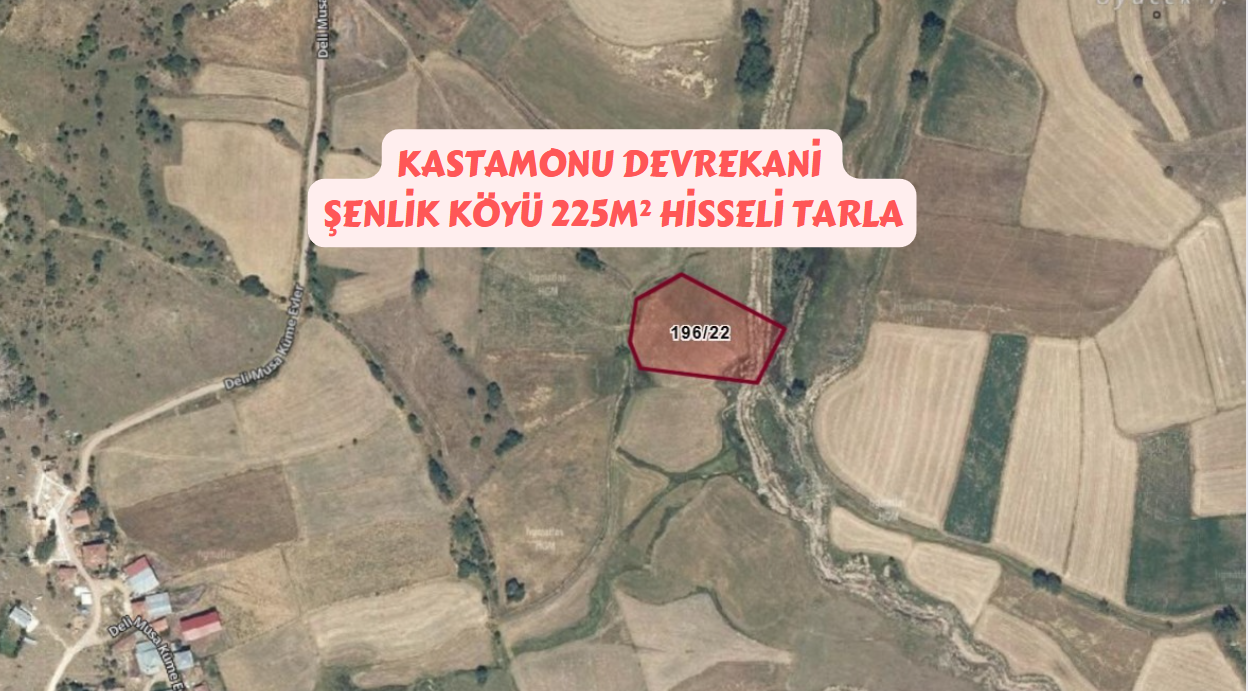 Fotoğraf